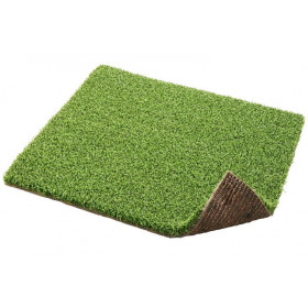 pg 21 putting greeb turf