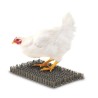 Astro Turf Poultry Pads